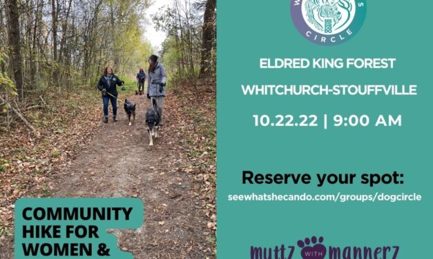 SeeWhatSheCanDo Women & Dogs October Forest Hike