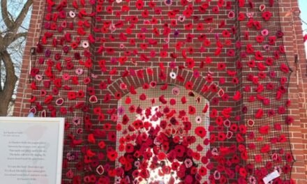 Remembrance Day Stouffville: Expressing our feelings and contributing