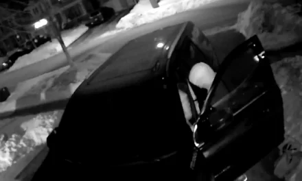 Car Thieves from Organized Crime Circle are Active in Stouffville