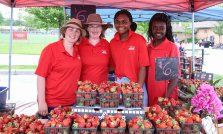 Excitement Builds For Stouffville’s 2023 Strawberry Festival