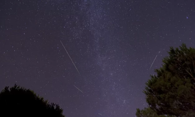 International Dark Sky Week Highlights Light Pollution Concerns In Stouffville