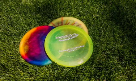 Disc Golf Coming To Stouffville? Ken Laushway Woodlot Could Host New Course