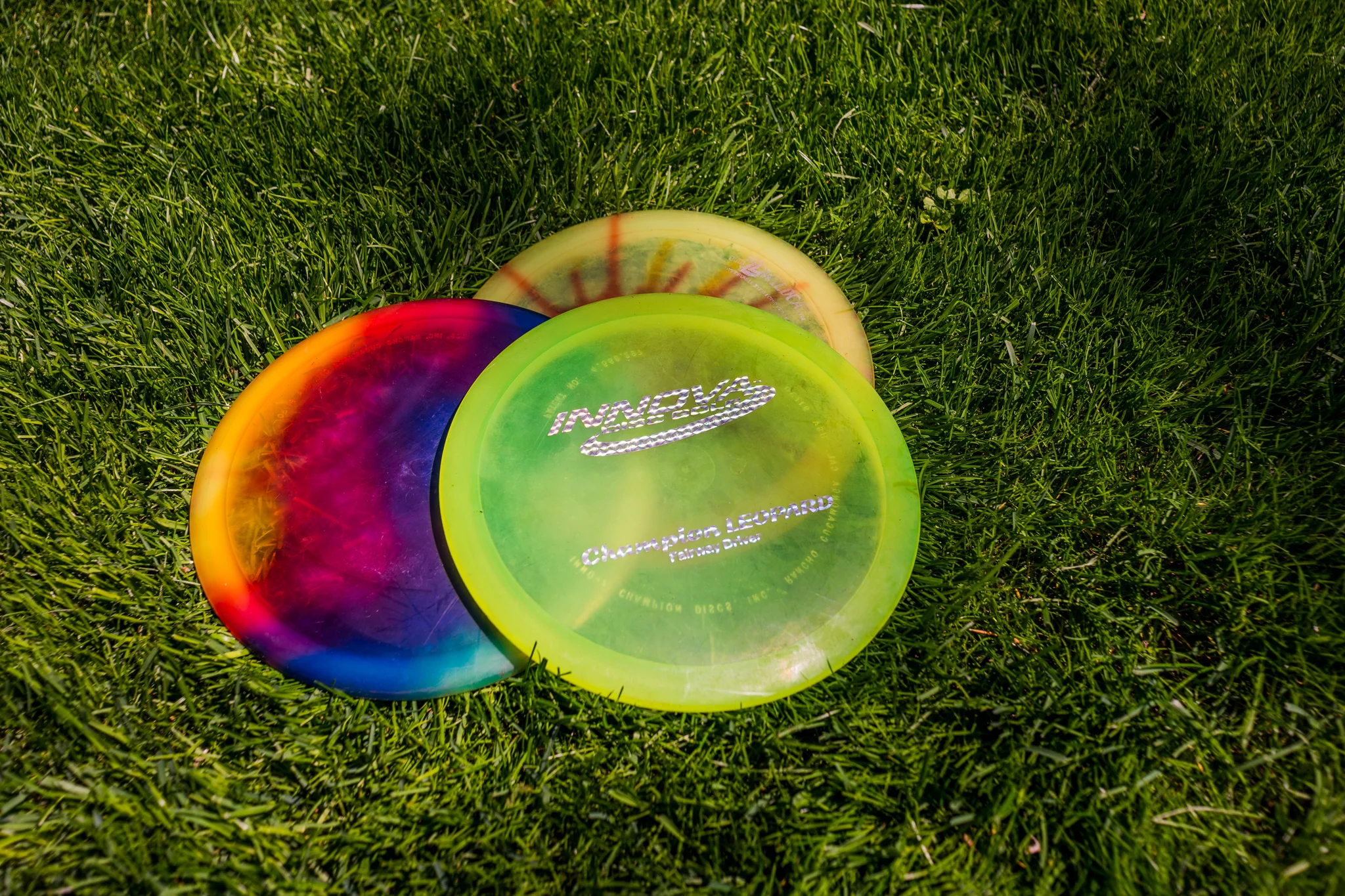 Disc Golf Coming To Stouffville? Ken Laushway Woodlot Could Host New Course, Stouffville