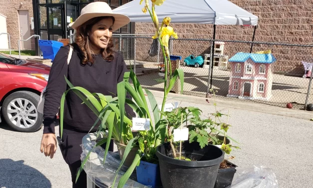 Stouffville Gardeners Line Up Early for Christ Church Plant Sale