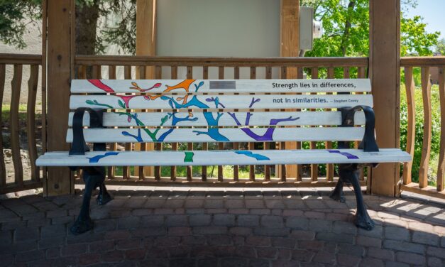 New Main Street Benches Celebrate Stouffville’s Diversity, Highlight York Region Artists