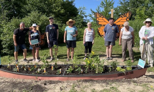 Micole Rubinoff of Stouffville’s Butterflyway Project Talks Pollinators & Native Plants