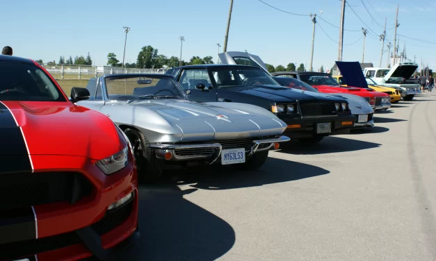 Steer Friends Hosting “Steering for Steer Friends” Charity Car Show on June 24th