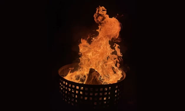Stouffville’s Dry Weather Draws High Fire Hazard Rating, Warnings