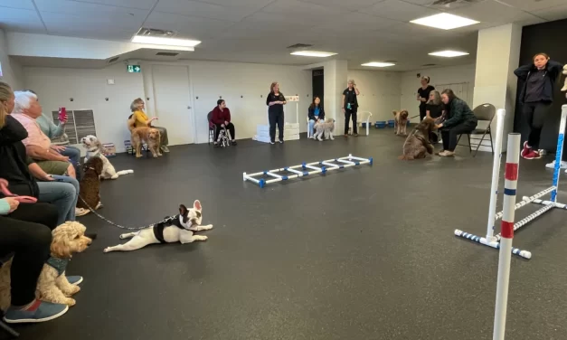 See What She Can Do, and See What Her Dog Can Do, Too!