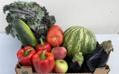 York Region Food Network Brings Good Food Box Program To Stouffville