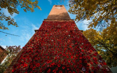 Local Volunteers Honour Remembrance Day With Civic Square Poppy Installation