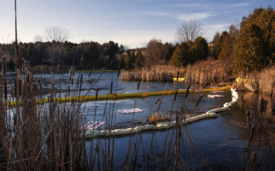 Oil Cleanup Continues at Stouffville’s Byers Pond Following Transformer Leak