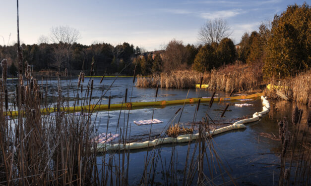 Oil Cleanup Continues at Stouffville’s Byers Pond Following Transformer Leak