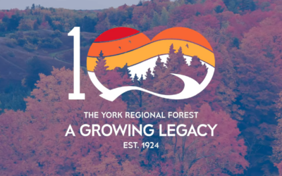 Region Launches Year-Long Celebration For York Regional Forest’s Centennial