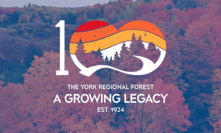 Region Launches Year-Long Celebration For York Regional Forest’s Centennial
