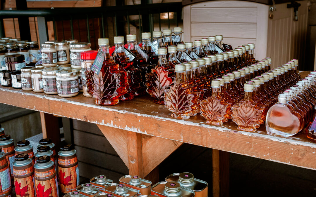 TRCA’s 2024 Sugarbush Maple Syrup Festival Coming Soon To Bruce’s Mill