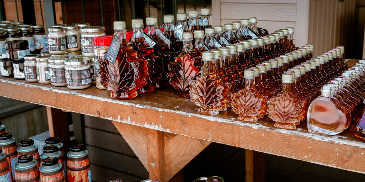 TRCA’s 2024 Sugarbush Maple Syrup Festival Coming Soon To Bruce’s Mill