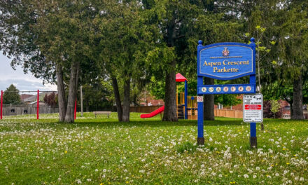 Stouffville Seeks Community Input On Aspen Crescent Parkette Revitalization