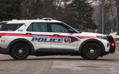 YRP In Search Of Suspects After Dog Shot Near McCowan and Bloomington