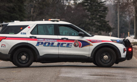 YRP In Search Of Suspects After Dog Shot Near McCowan and Bloomington