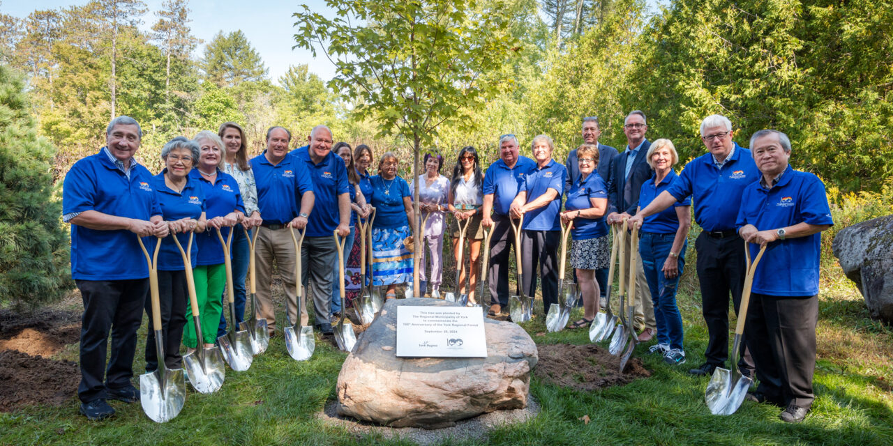 York Region Celebrates Regional Forest’s 100th Anniversary With Hollidge Tract Event