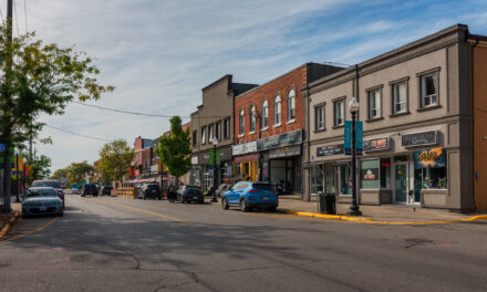 Village Advisory Committee to Replace Chamber-Led Business Area Supports