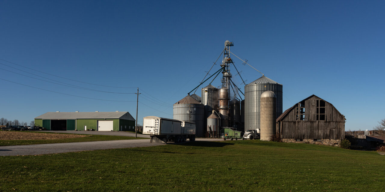 York Region Unveils New Strategy to Boost Agriculture and Agri-Food Sector