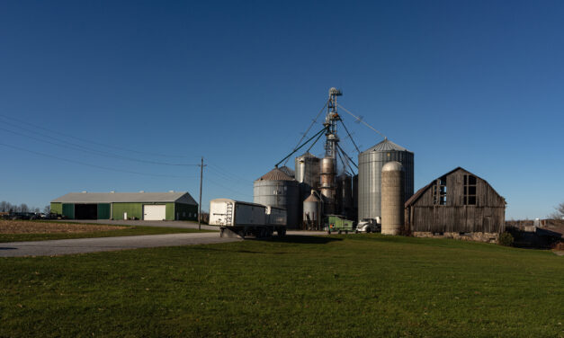 York Region Unveils New Strategy to Boost Agriculture and Agri-Food Sector