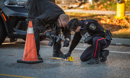 Police Investigating Two Overnight Shootings in Stouffville, No Injuries Reported