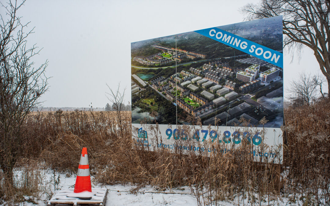 Council Approves Draft Plans for 1,162-Unit Mixed-Use Development Near Old Elm GO