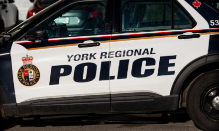 UPDATED: 32 New Charges Laid Against Markham Teens In String of Rock Throwing Incidents