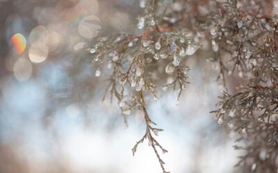 Freezing Rain Warning Issued for Stouffville, Hazardous Conditions Expected