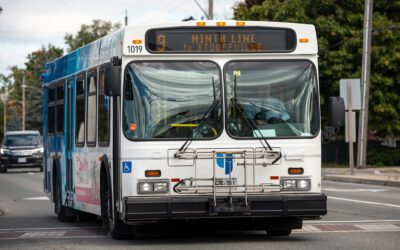 Record York Region Transit Use Fuels Demand for Lasting Provincial Supports