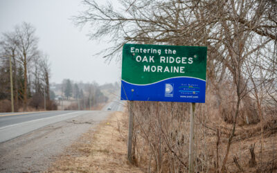 A Slippery Slope or Sensible Reform? Council Pushes for Housing on the Moraine