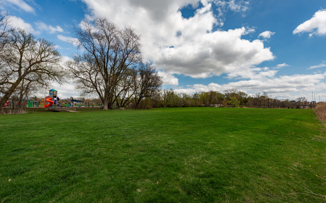 Urban Farm Could Bring Fresh Produce, Education to Franklin Field