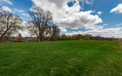 Urban Farm Could Bring Fresh Produce, Education to Franklin Field