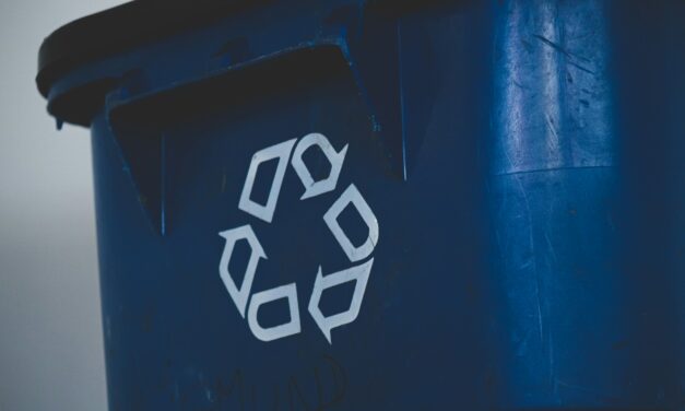 Applications Open for York Region’s Circular Economy Initiatives Grant Program