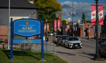 Shared Bins or Private Pickup? Council to Rule on Downtown Waste Collection