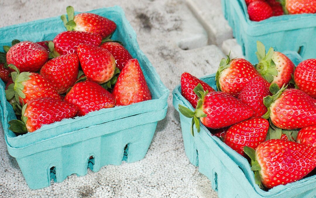 Volunteers Needed to Help Elevate Next Year’s Strawberry Festival