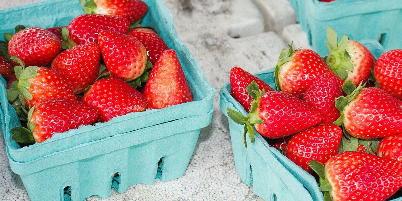 Volunteers Needed to Help Elevate Next Year’s Strawberry Festival