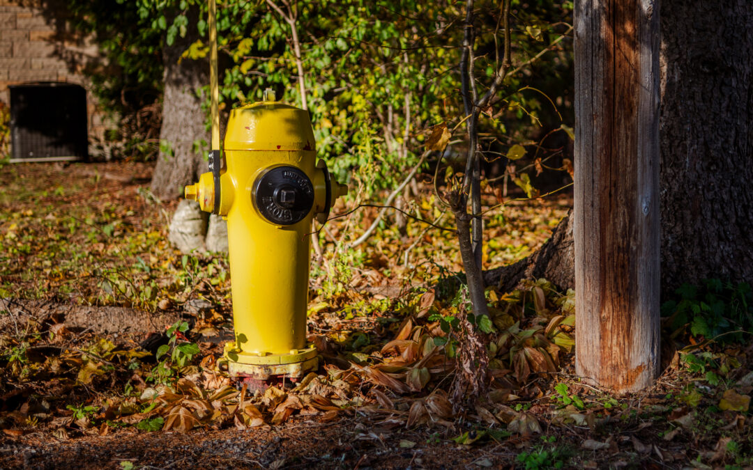 Urging Residents to Clear Snow Around Fire Hydrants, Stouffville Updates By-Law
