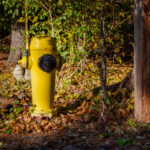 Urging Residents to Clear Snow Around Fire Hydrants, Stouffville Updates By-Law