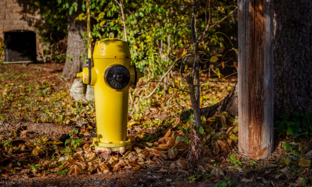 Urging Residents to Clear Snow Around Fire Hydrants, Stouffville Updates By-Law