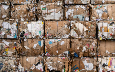 What Stouffville Residents Need to Know Ahead of the Blue Box Transition