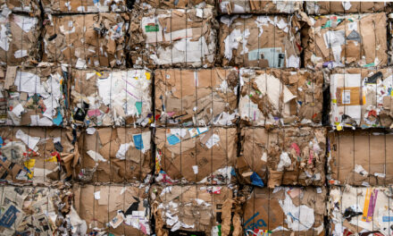 What Stouffville Residents Need to Know Ahead of the Blue Box Transition