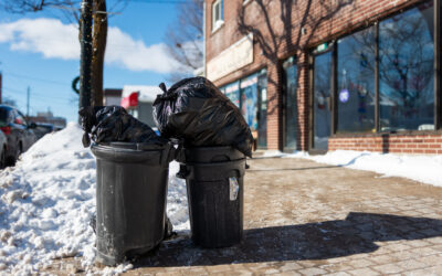 Main Street Businesses Warn of “Double or Triple Hit” Amid Waste Collection Changes