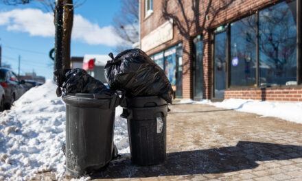 Main Street Businesses Warn of “Double or Triple Hit” Amid Waste Collection Changes