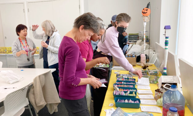 Sustainable Stouffville Building Climate Impact Through Events, Partnerships & Advocacy