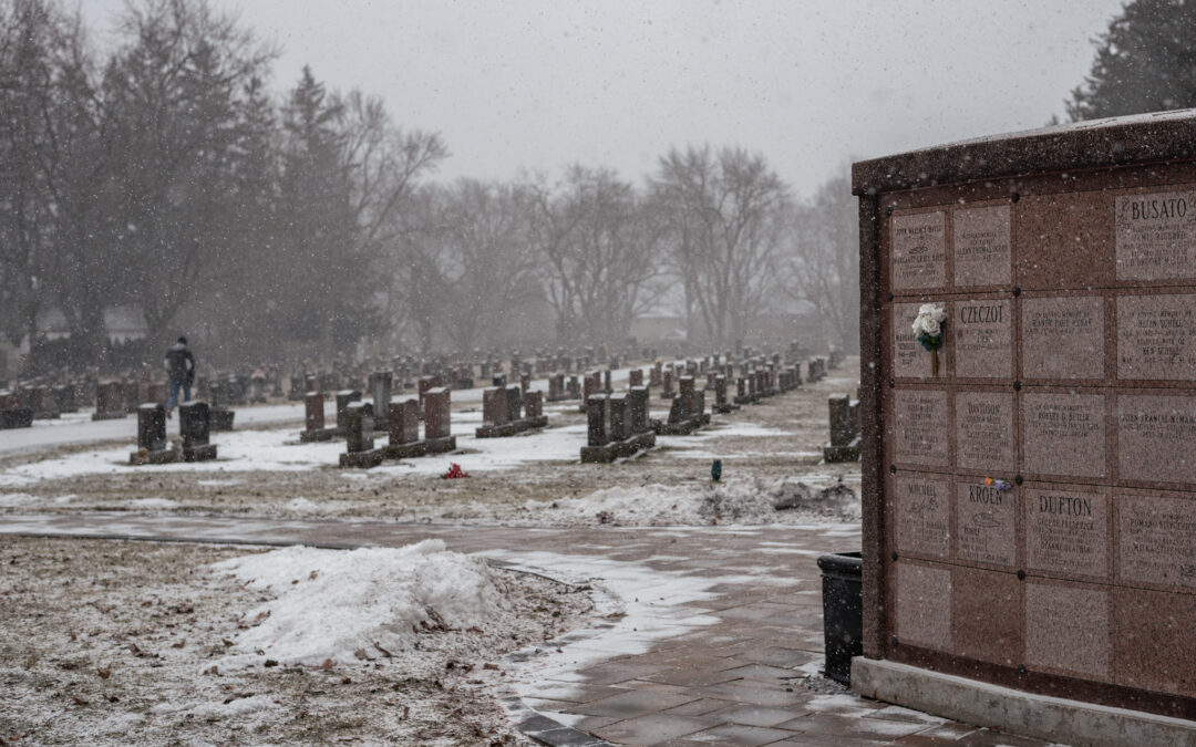Council Reaffirms Cemetery Pet Ban After Debate Over Access, Enforcement