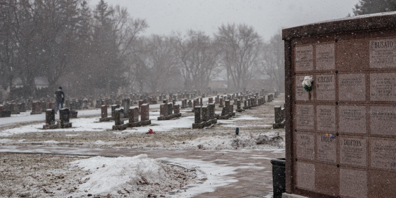 Council Reaffirms Cemetery Pet Ban After Debate Over Access, Enforcement
